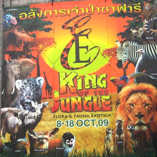 King of the Jungle